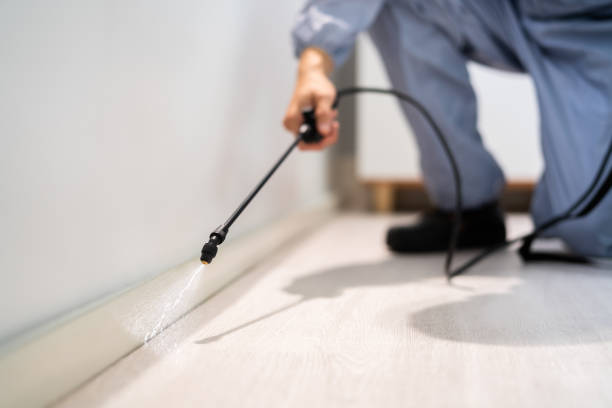 Licensed Termite Control service in Lane County County, KS - Nex Pest Control