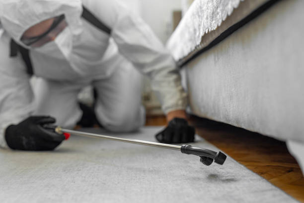 Professional Termite Control technician working in Lane County County, KS